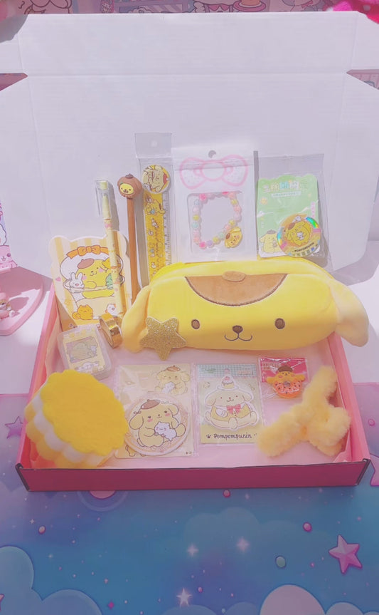 Little box Pompom Purin 2