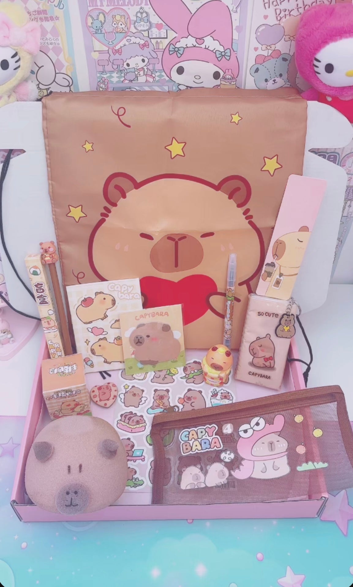 Box Capybara